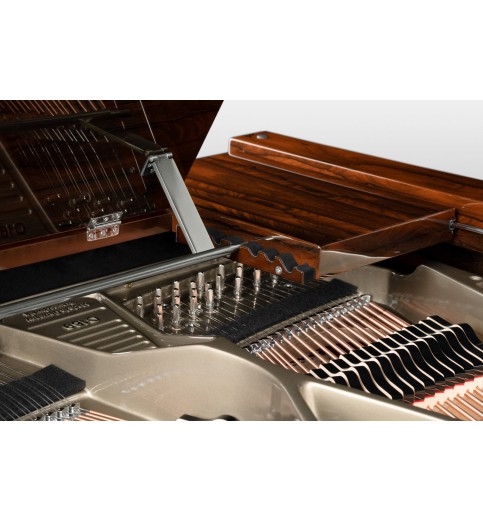 Schimmel Classic C169T Ziricote